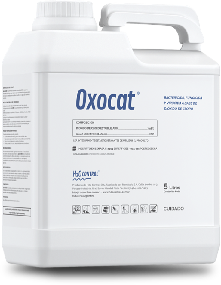 oxocatbig1